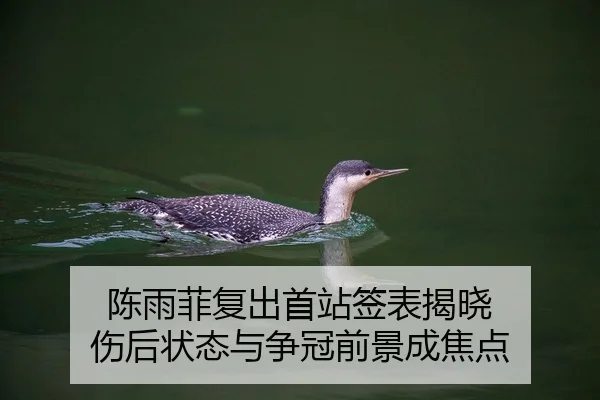 陈雨菲复出首站签表揭晓 伤后状态与争冠前景成焦点