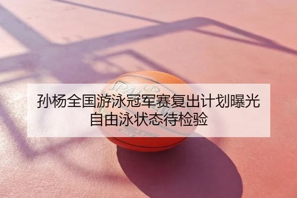 孙杨全国游泳冠军赛复出计划曝光 自由泳状态待检验