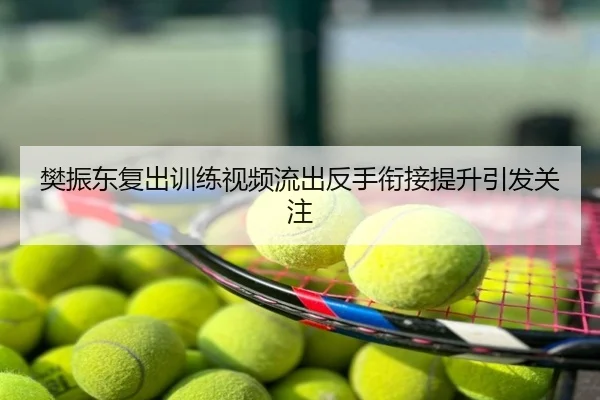 樊振东复出训练视频流出反手衔接提升引发关注